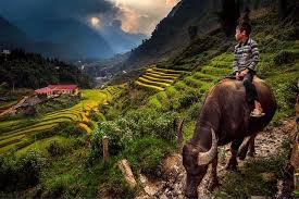 Vietnam Northwest Cycling Adventure Tour 12 Days